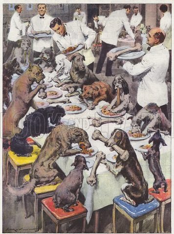 M511376_Cani-poveri-a-banchetto Le banquet des menteurs
